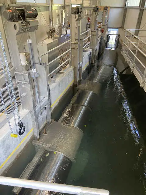 Dungeness River Intake