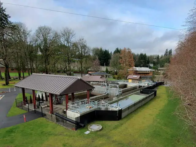Tumwater Falls Hatchery