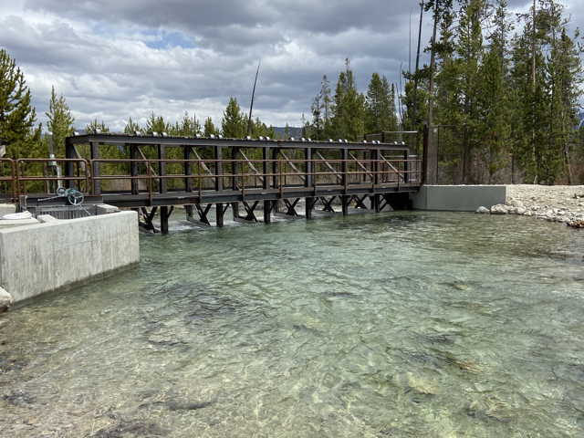 Pettit Creek Trapping Facility