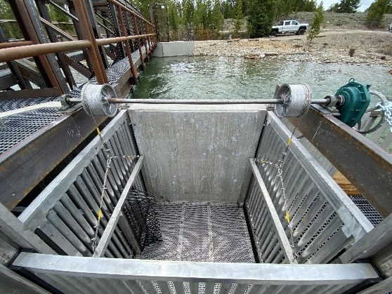Pettit Creek Trapping Facility