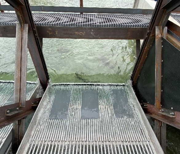 Pettit Creek Trapping Facility