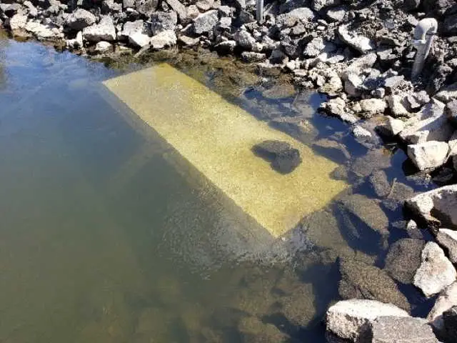 Tumwater Falls Facility Modifications